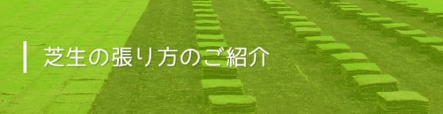 芝生の生産販売 植え方 手入れ 芝生の張り方 株式会社ハヤシ